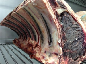 totera-dried-age-meat